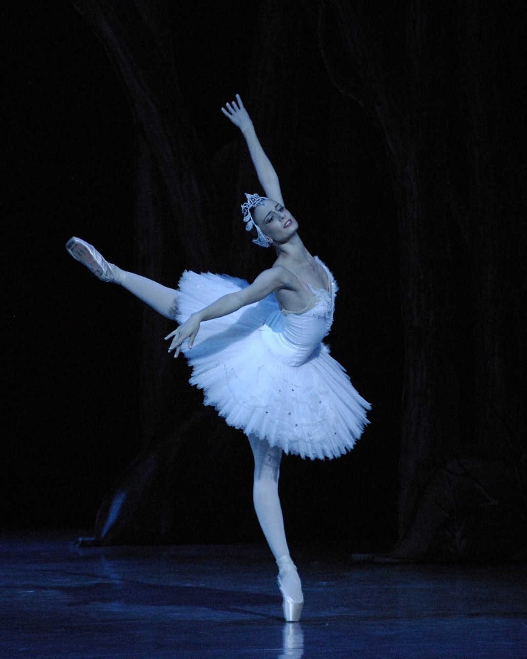 Swan Lake