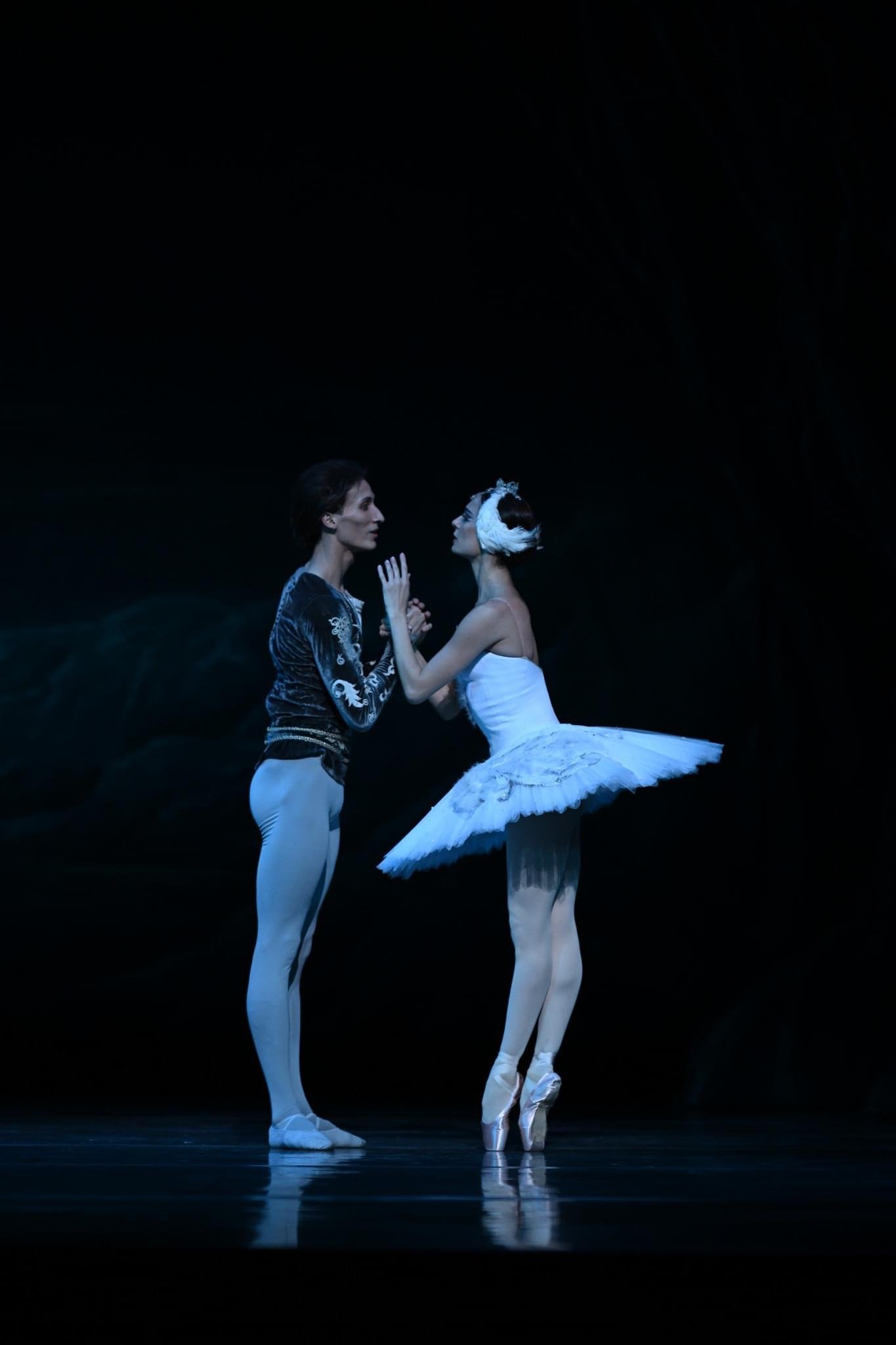 Swan Lake (Odette)